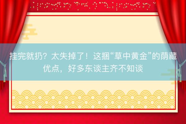 挂完就扔？太失掉了！这捆“草中黄金”的荫藏优点，好多东谈主齐不知谈