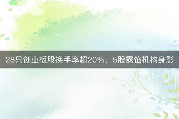 28只创业板股换手率超20%，5股露馅机构身影